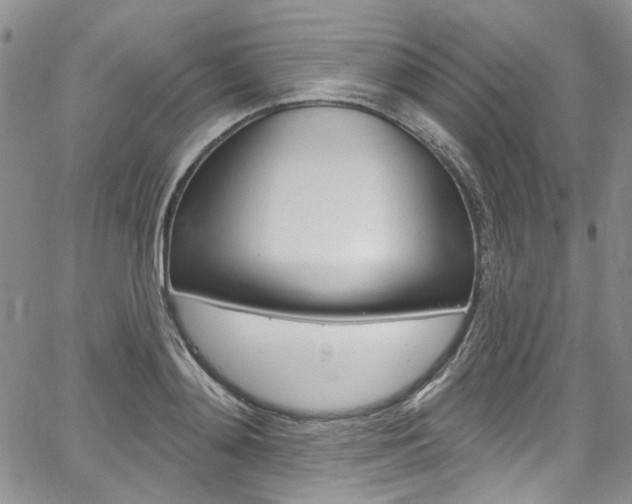 X0000067940892200604131129