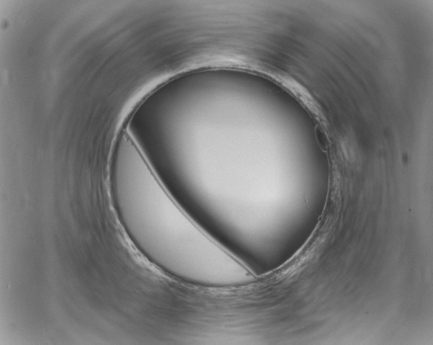 X0000067940904200604131128