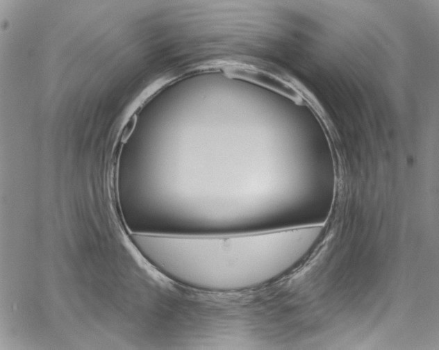 X0000067940909200604131128