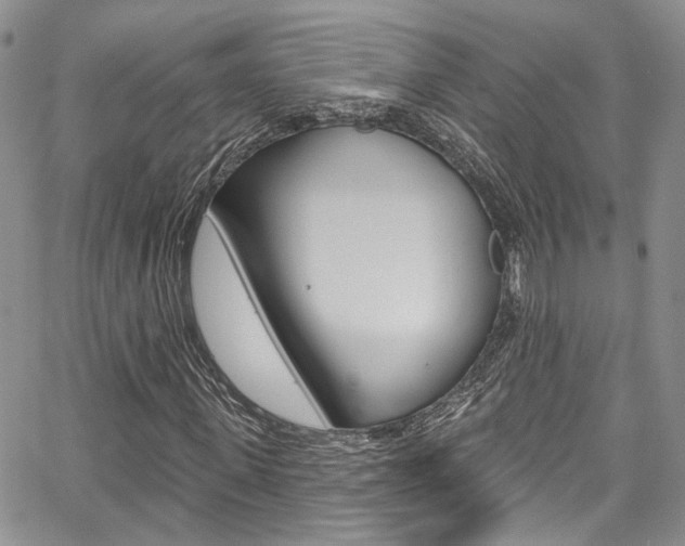 X0000067940915200604131127