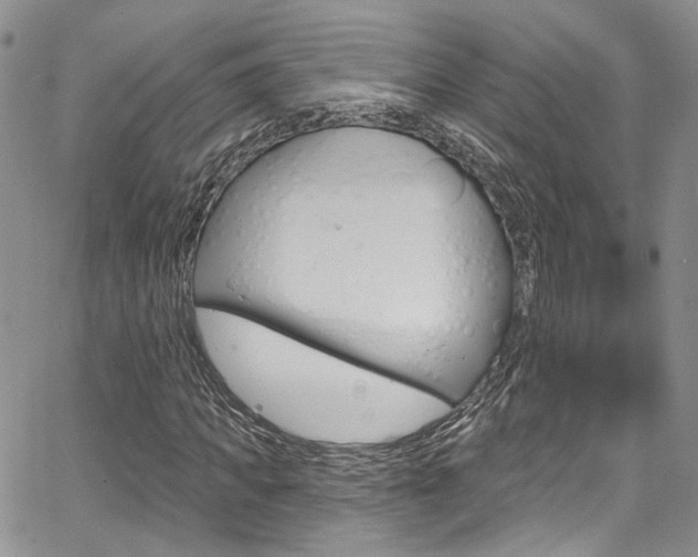 X0000067940917200604131127