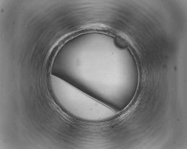 X0000067940923200604131128