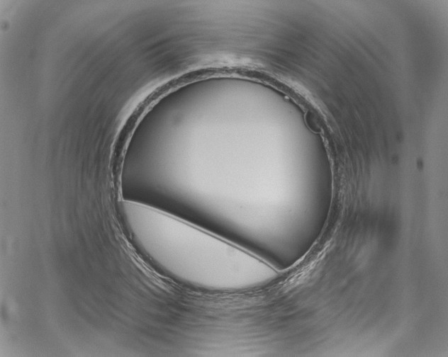 X0000067940927200604131128