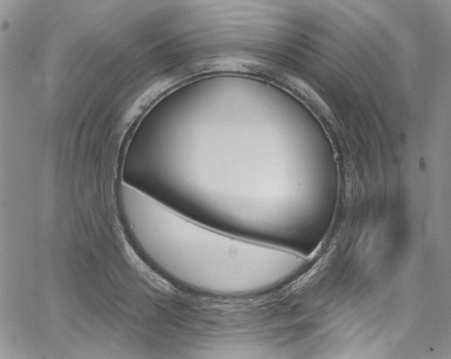X0000067940938200604131128