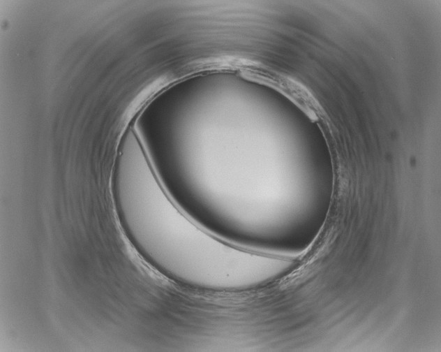 X0000067940946200604131128