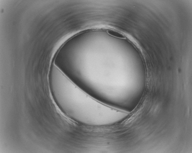 X0000067940951200604131128