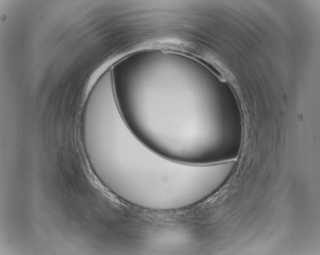 X0000067940960200604131128