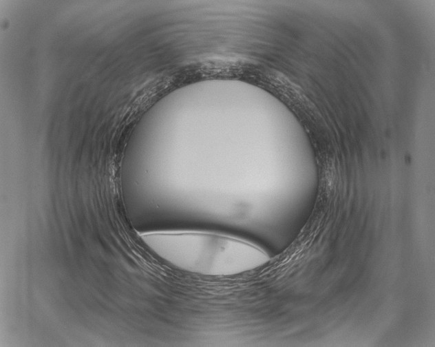 X0000067940964200604131127