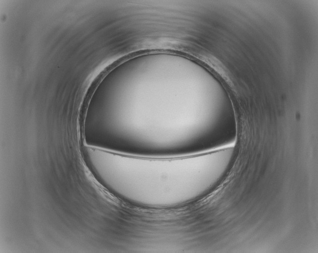 X0000067940980200604131127