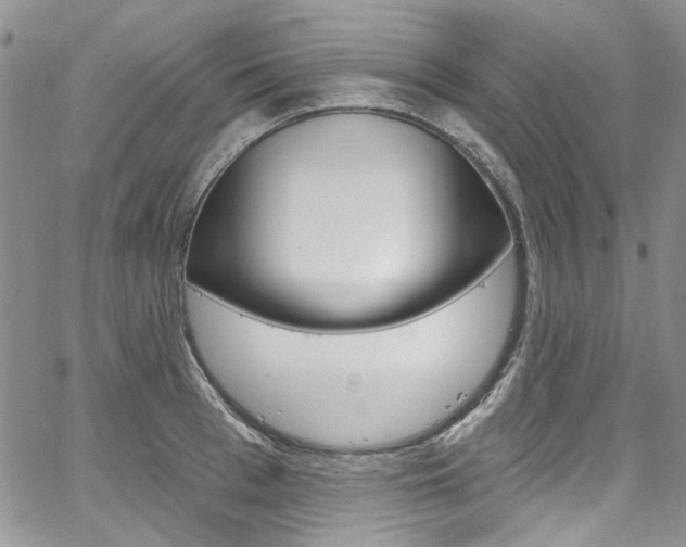 X0000067940993200604131127