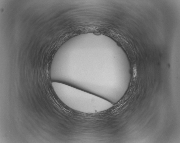 X0000067941011200604131126