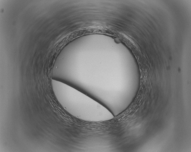 X0000067941015200604131126