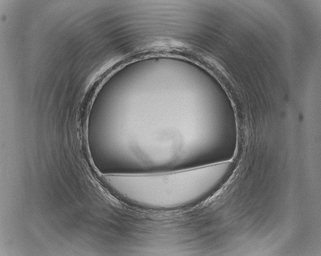 X0000067941018200604131126