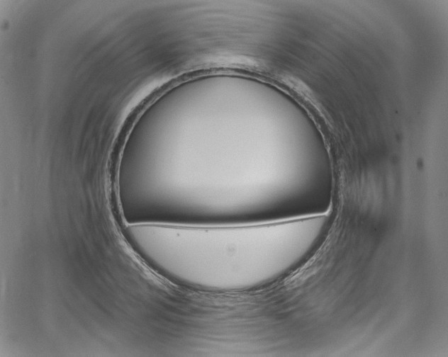 X0000067941024200604131126
