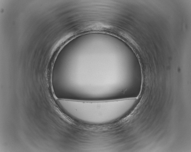 X0000067941026200604131126