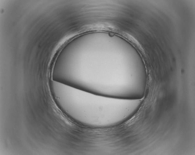 X0000067941035200604131126