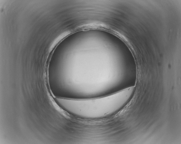 X0000067941042200604131126