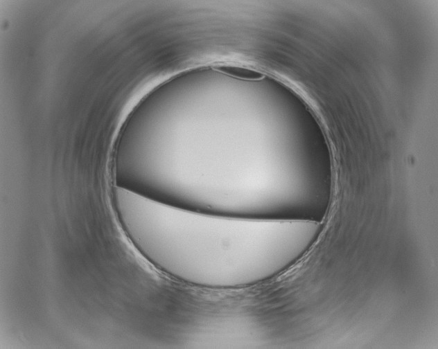 X0000067941056200604131127