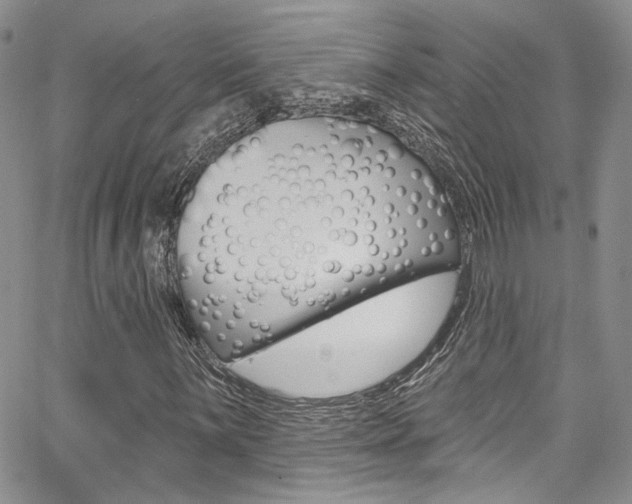 X0000067941059200604131126