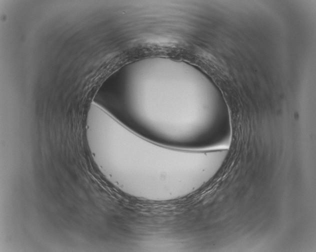 X0000067941061200604131126