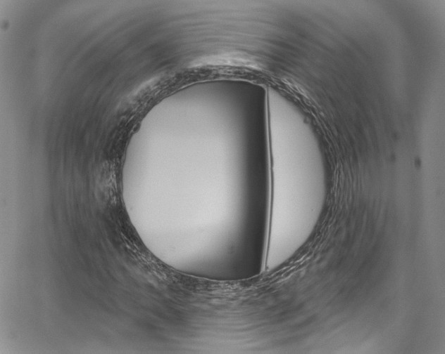 X0000067941062200604131126