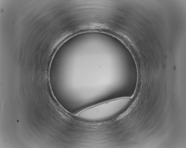 X0000067941073200604131126