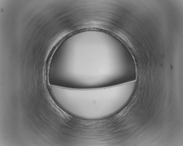 X0000067941076200604131126