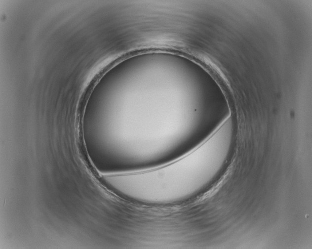 X0000067941077200604131125