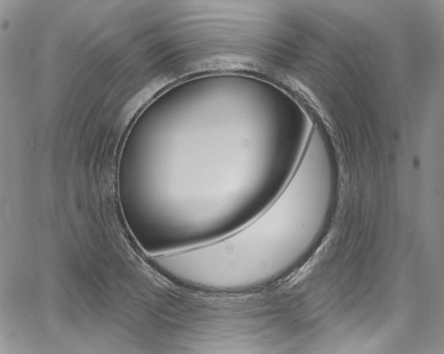 X0000067941081200604131125