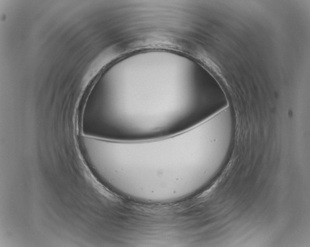 X0000067941082200604131125