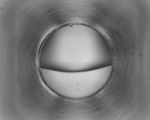 X0000067941084200604131125
