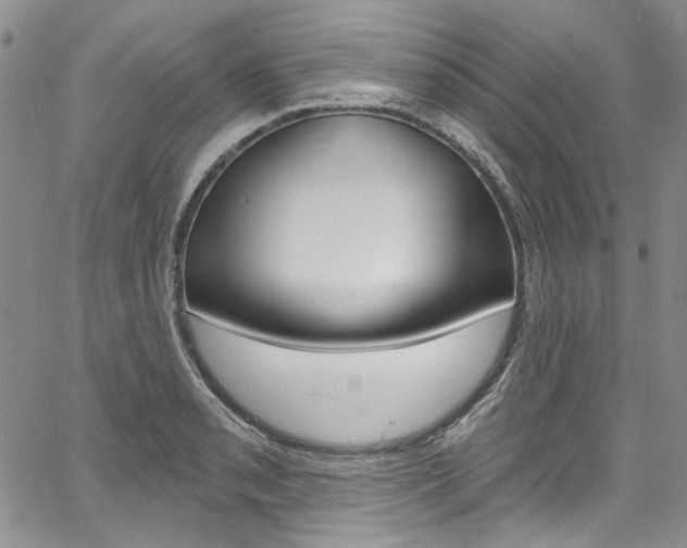 X0000067941085200604131125