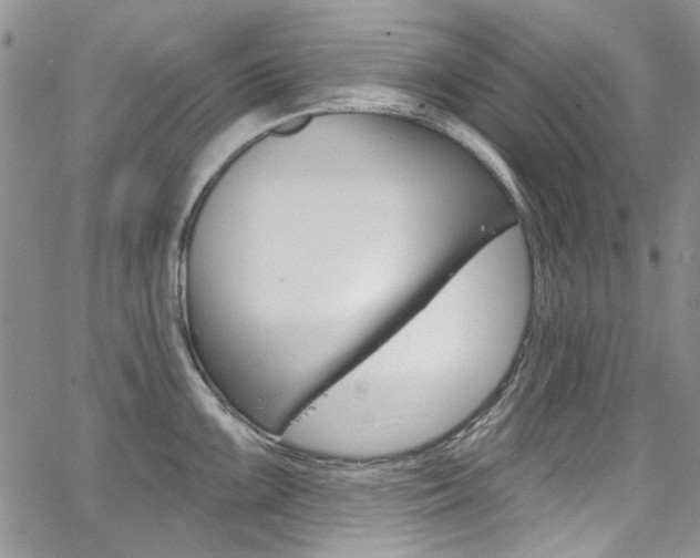 X0000067941099200604131125