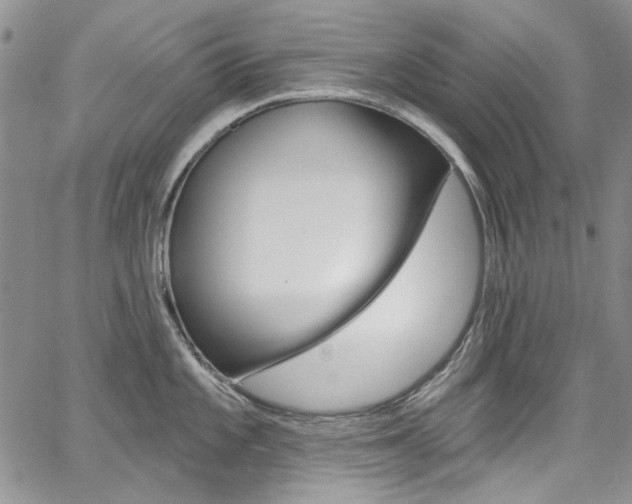 X0000067941101200604131125