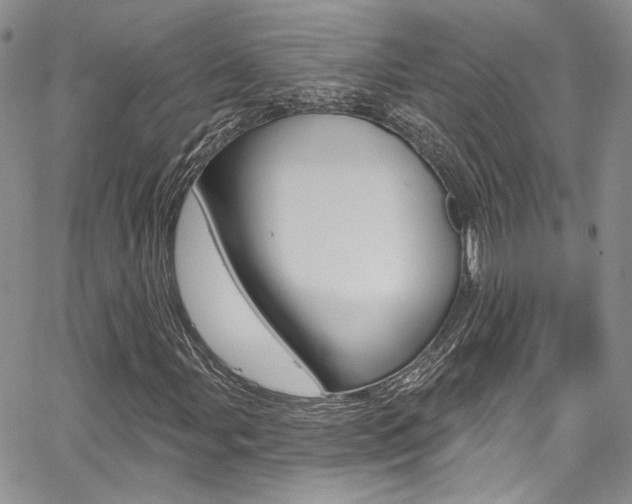 X0000067941107200604131124