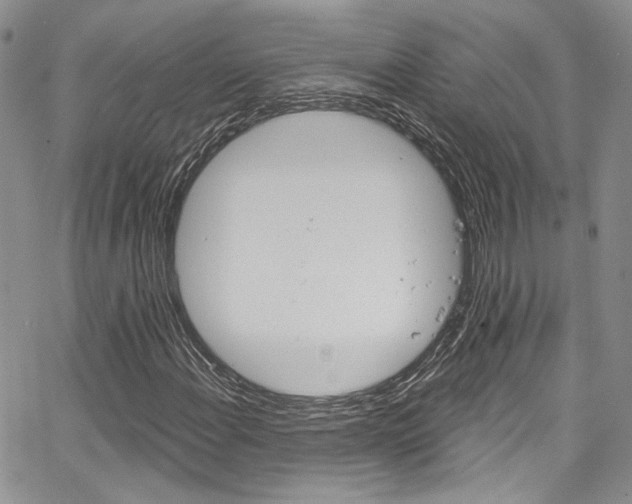 X0000067941108200604131124
