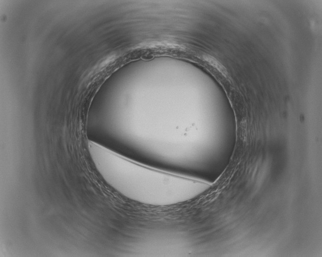 X0000067941111200604131124
