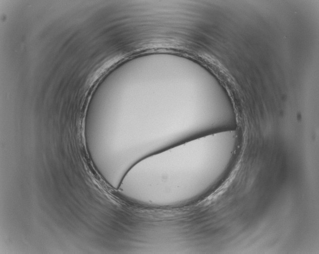 X0000067941121200604131125
