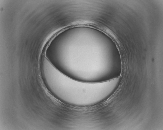 X0000067941124200604131125