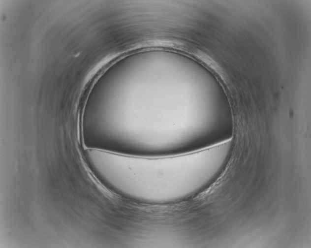 X0000067941127200604131125