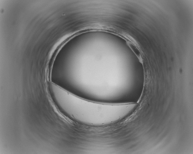 X0000067941128200604131125