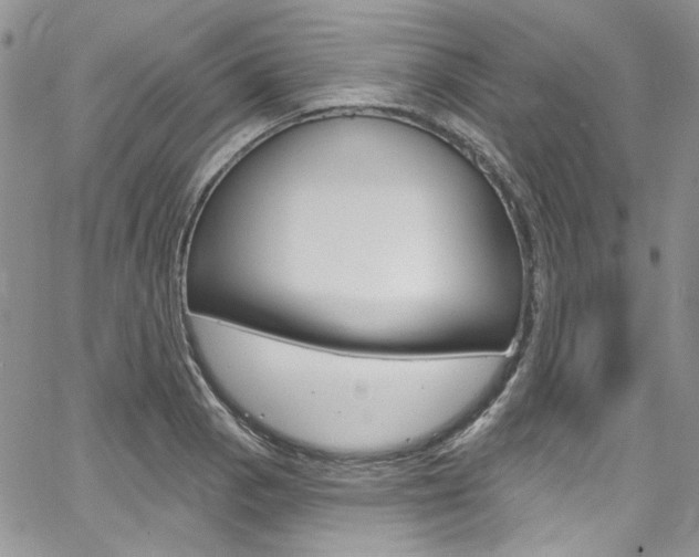 X0000067941129200604131125