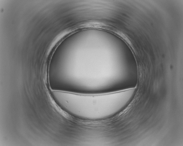 X0000067941131200604131125