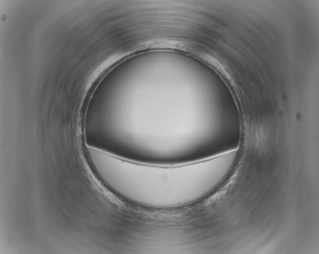 X0000067941133200604131125