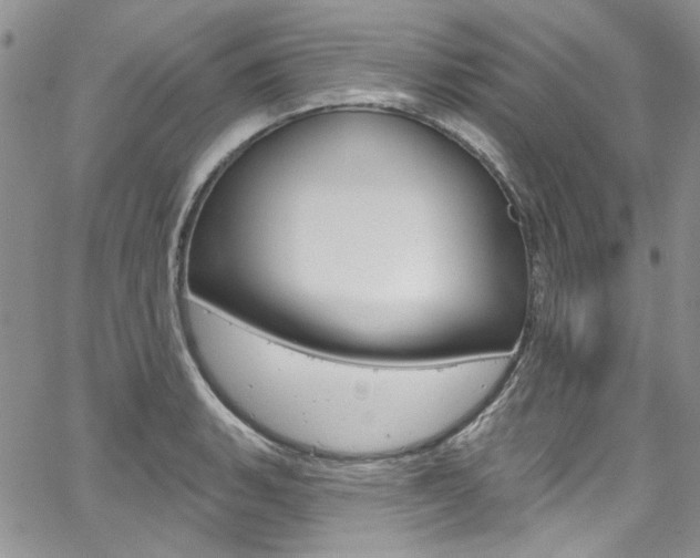 X0000067941135200604131125