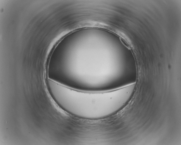 X0000067941136200604131125