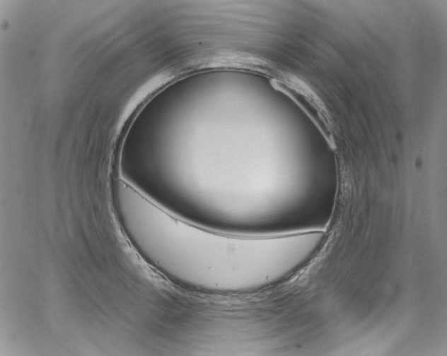 X0000067941138200604131125