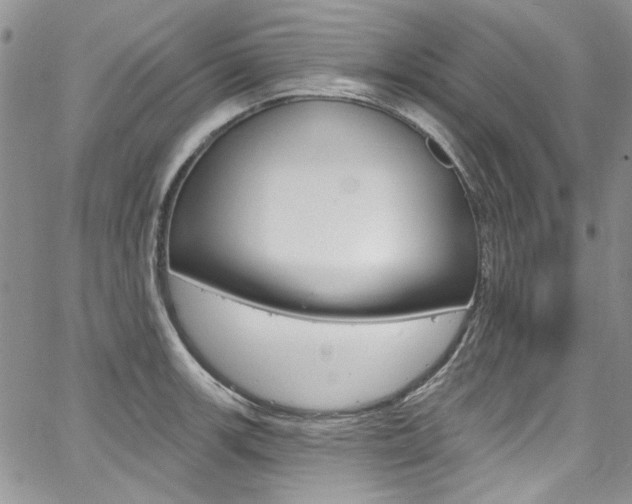 X0000067941139200604131125