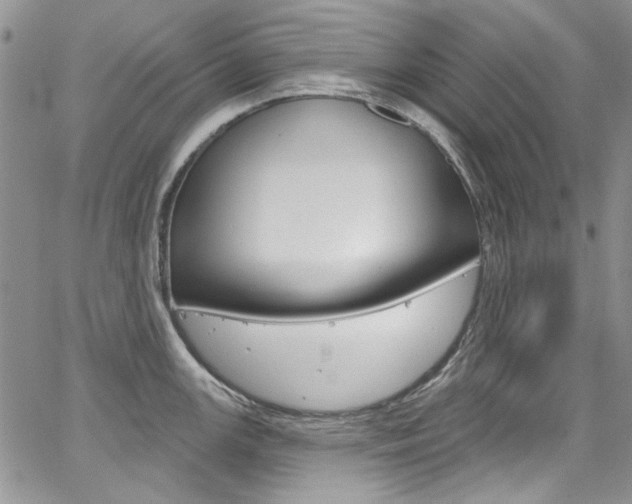 X0000067941147200604131125