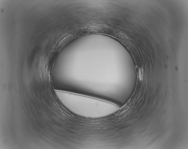 X0000067941155200604131124